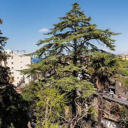 Casa Enzina Affittacamere Sorrento